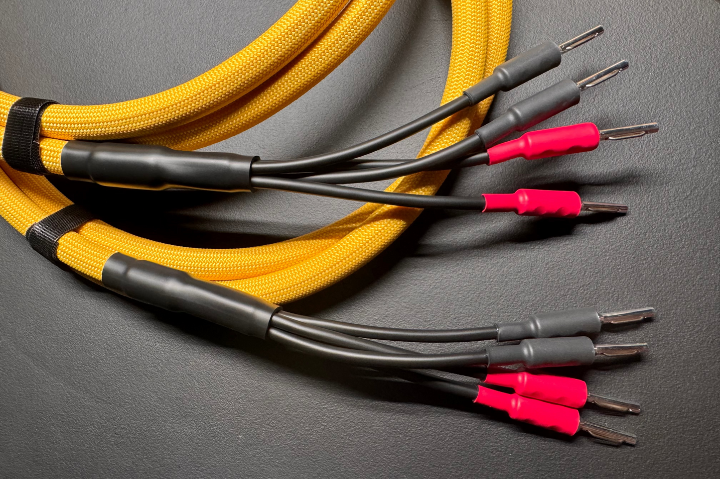 Bi-Wired Core Line – Speaker Cable (Pair)