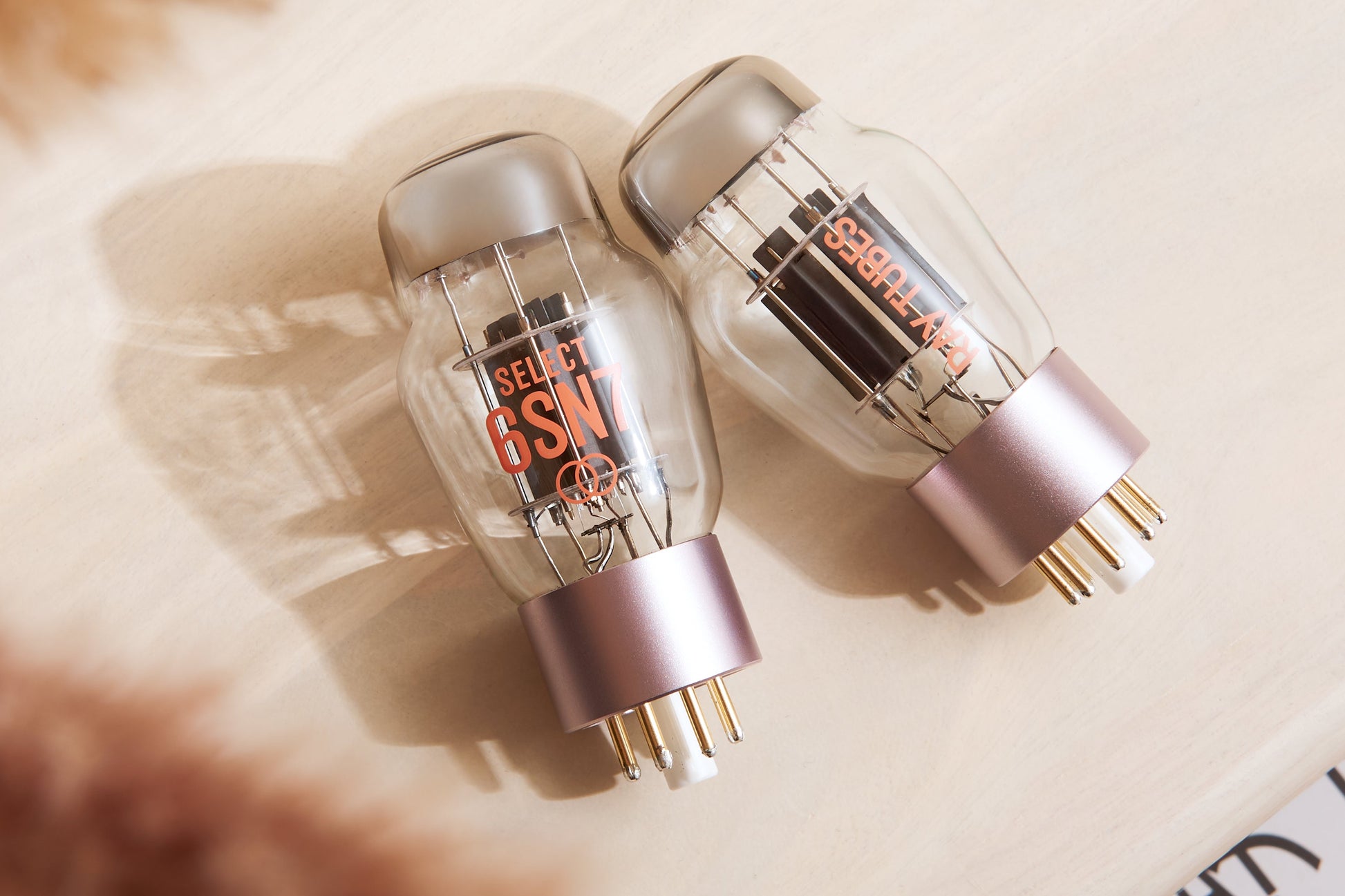 Two vacuum tubes with visible branding on a textured surface