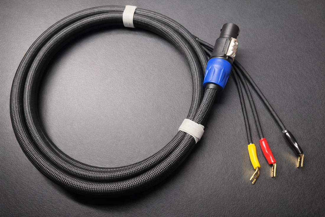 Core Line – High-Level Sub Interface cable (Speakon) for REL – Prosper ...